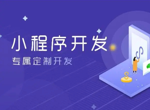 丽水小程序开发：全球有多少区块链开发者？