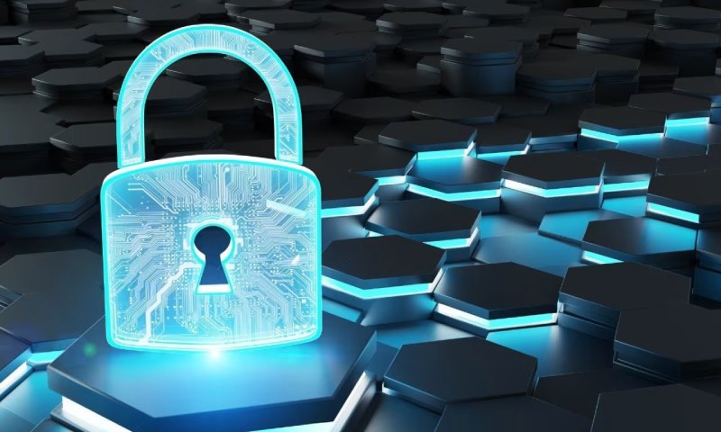 成都软件开发费用：聚焦服务器端脚本主流语言与框架